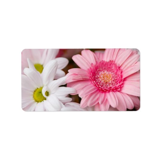 Étiquette Marguerite rose et blanche (Devant)