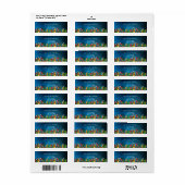 Étiquette Marine bleu perroquets palmiers feuilles adresse d (Feuille entière)