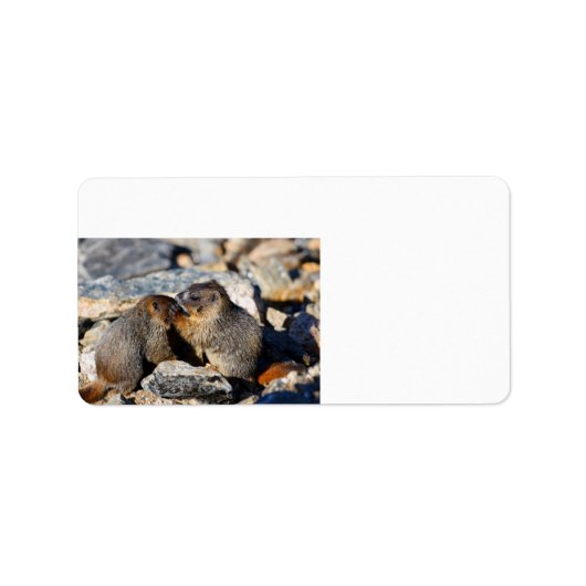 Étiquette Marmottes (Devant)