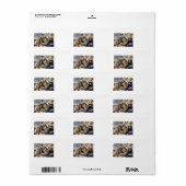 Étiquette Marmottes (Feuille entière)