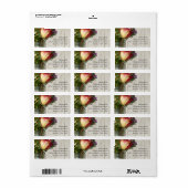 Étiquette Mason Jar avec Rose et Fleur sauvage (Feuille entière)