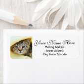 Étiquette Masquer l'adresse de retour Kitten (En situation)