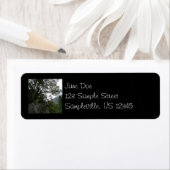 Étiquette Matin sur le sentier à Vernal Falls à Yosemite (En situation)