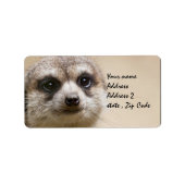 Étiquette Meerkat (Devant)