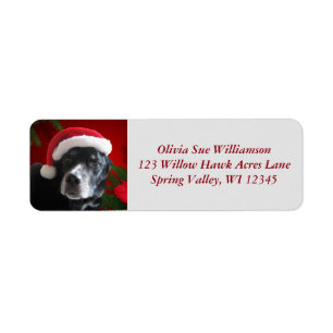 Étiquette Mélange de Père Noël Dog-Lab/Rott avec Pointset
