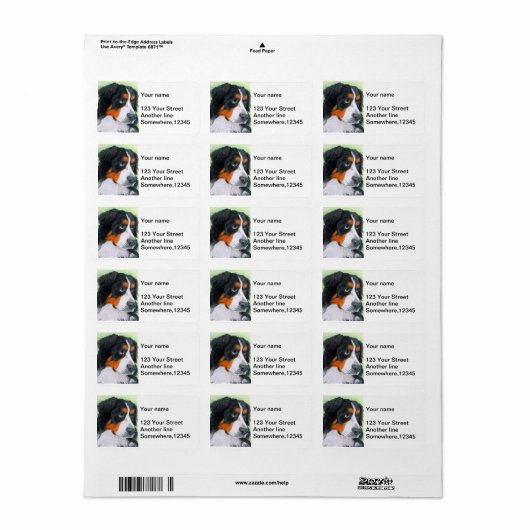 Étiquette Mendier Bernese (Feuille entière)