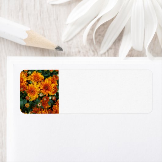 Étiquette Mères (En situation)