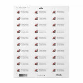 Étiquette Merry Christmas Turtle à Santa Hat Retourner l'adr (Feuille entière)