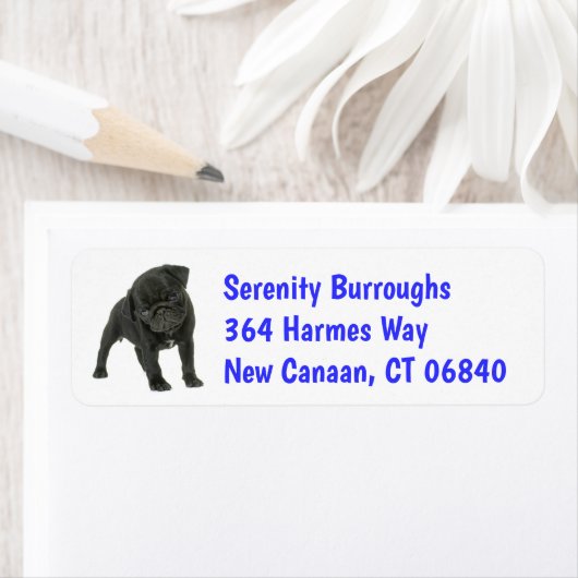 Étiquette Mignonne Carlin Maman Chien Chien Chien Chien Papa (En situation)