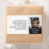 Étiquette Mignonne chat mauvais garçon (En situation)