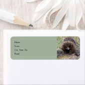 Étiquette Mignonne Echidna d'Australie (En situation)