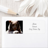 Étiquette Mirage blanc de tigre (En situation)