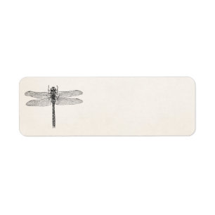 Étiquette Modèle américain vintage de mouche de dragon de