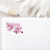 Étiquette Modèle d'orchidées roses chaudes Dendrobium Orchid (En situation)