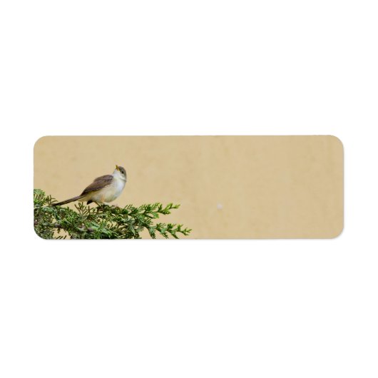 Étiquette Moineau (Devant)