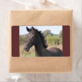Étiquette Mon nouveau pony (En situation)