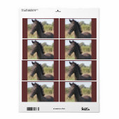 Étiquette Mon nouveau pony (Feuille entière)