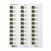 Étiquette Monet Garden Vetheuil Impressionim Peinture (Feuille entière)