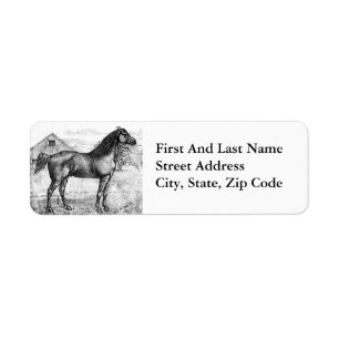 Étiquette Morgan Horse 1888 Dessin Vintage Breed Art