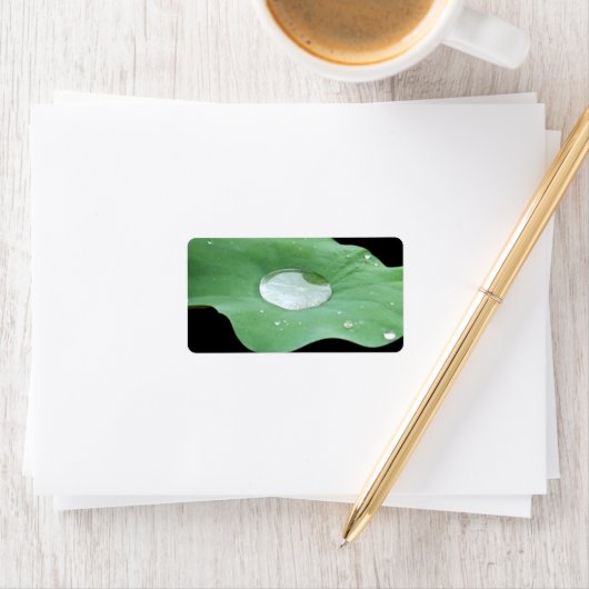 Étiquette Morning Dew sur Lilypad (En situation)