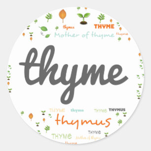 Étiquette MOT HERBE - HERBES/LÉGUMES - THYME