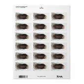 Étiquette Moufle de Fluffy adorable mignonne animal (Feuille entière)