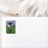 Étiquette Mouton (En situation)