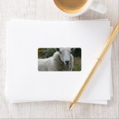 Étiquette Mouton blanc (En situation)