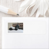 Étiquette Musée d'Histoire Naturelle, Ann Arbor, MI étiquett (En situation)