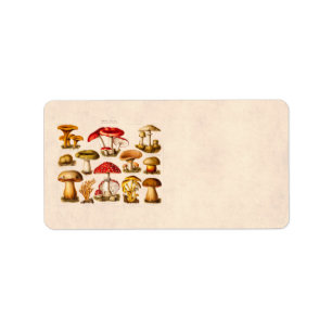 Étiquette Mushrooms de la variety rouge