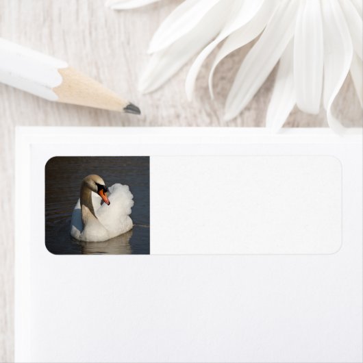 Étiquette Mute Swan (En situation)