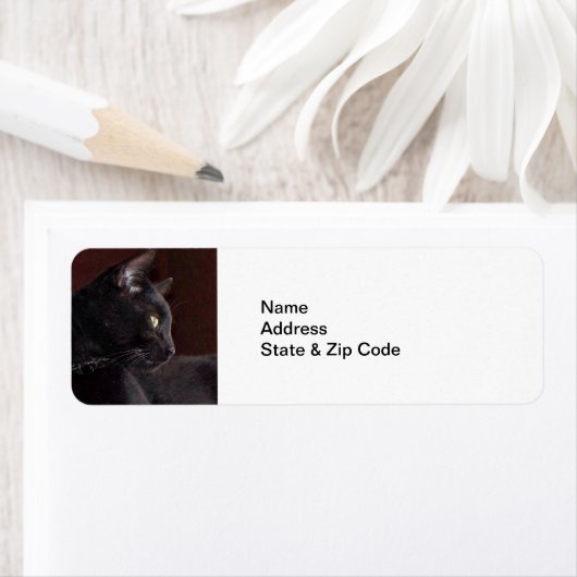 Étiquette My Boy, Charlie Return Address Labels (En situation)