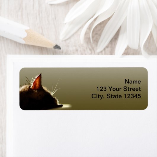 Étiquette Nappe de chat vert et gris (En situation)