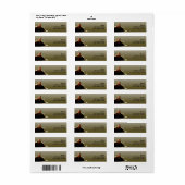 Étiquette Nappe de chat vert et gris (Feuille entière)