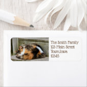 Étiquette Naptime (En situation)