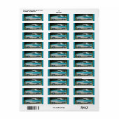 Étiquette Nash Hudson Metropolitigieux bleu et blanc (Feuille entière)