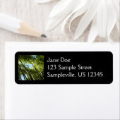 Étiquette Nature botanique bambou (En situation)