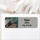 Étiquette Nature Turtle Photo Reptile Lake Adresse animale (En situation)