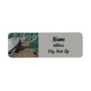 Étiquette Nature Turtle Photo Reptile Lake Adresse animale