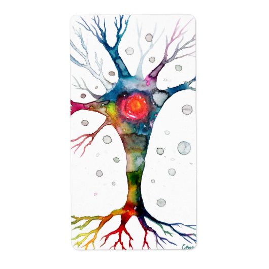 Étiquette neurone pyramidal dans le néocortex (Devant)