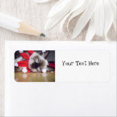 Étiquette Noël à Ragdoll (En situation)