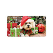 Étiquette Noël - Bichon Frise - Daisy (Devant)