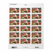 Étiquette Noël - Bichon Frise - Daisy (Feuille entière)