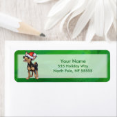 Étiquette Noël Chihuahua sur vert (En situation)