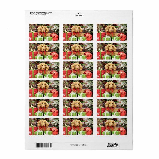 Étiquette Noël - Dachshund - Bo (Feuille entière)