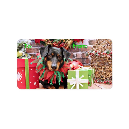 Étiquette Noël - Dachshund - Tanner (Devant)
