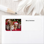 Étiquette Noël des chats et des chiens (En situation)