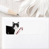 Étiquette Noël du chat noir et blanc (En situation)