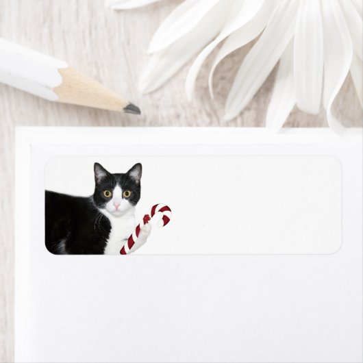 Étiquette Noël du chat noir et blanc (En situation)