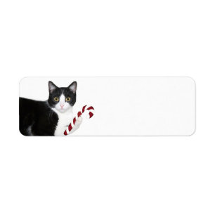 Étiquette Noël noir et blanc de chat